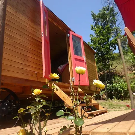Rosa The Cosy - Gypsy Wagon - Shepherds Hut, River Views Off-grid Eco Living Tatil Evi