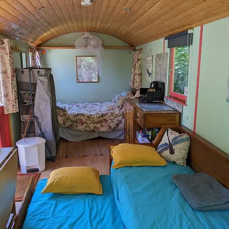 Rosa The Cosy - Gypsy Wagon - Shepherds Hut, River Views Off-grid Eco Living *