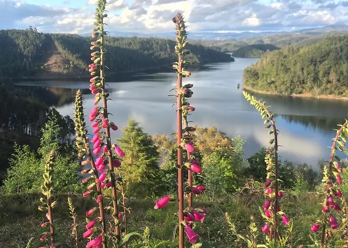 Rosa The Cosy - Gypsy Wagon - Shepherds Hut, River Views Off-grid Eco Living Дом отдыха *