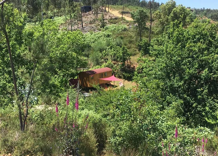 Дом отдыха Rosa The Cosy - Gypsy Wagon - Shepherds Hut, River Views Off-grid Eco Living Педроган-Гранди