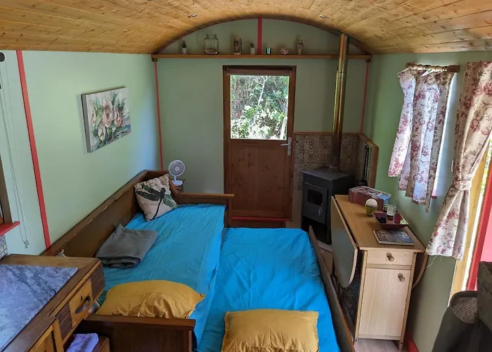 Rosa The Cosy - Gypsy Wagon - Shepherds Hut, River Views Off-grid Eco Living *